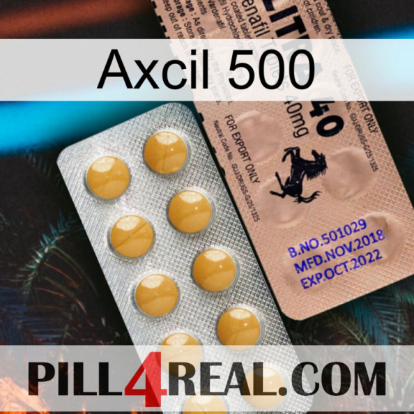 Axcil 500 41.jpg